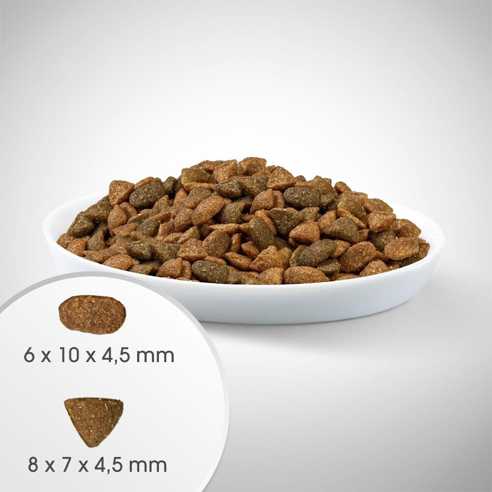 Perfect Fit Croquettes pour chat Perfect Fit Croquettes pour chat