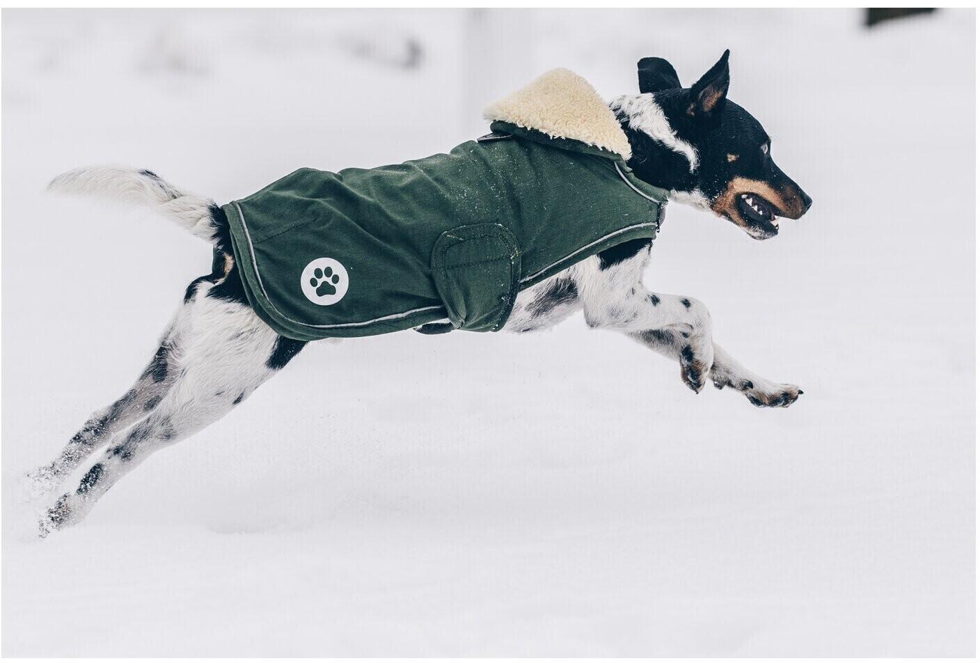 Kentucky Manteau pour chien M 46 Olive Green Kentucky Manteau pour chien M 46 Olive Green