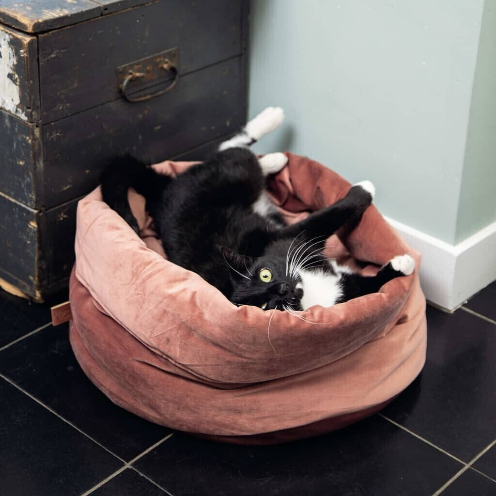 Designed by Lotte Panier pour chat Pink Designed by Lotte Panier pour chat Pink