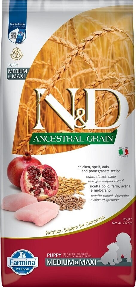 N&D Ancestral Grain Dog LAMB, Spel, OATS and Blueberry AULT Medium & MAXI 12 KG