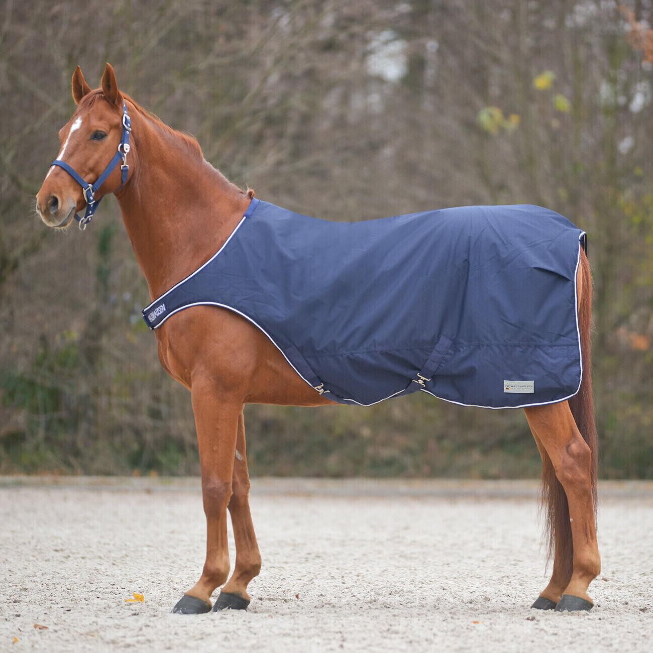 Waldhausen Horse walker blanket Comfort 100g