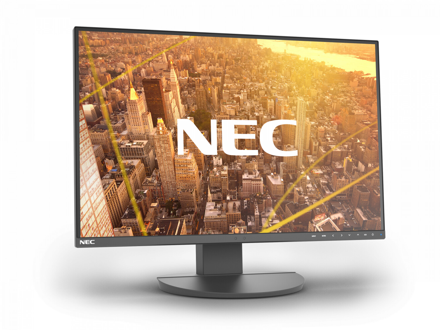 NEC Display Solutions MultiSync EA242WU (Black)