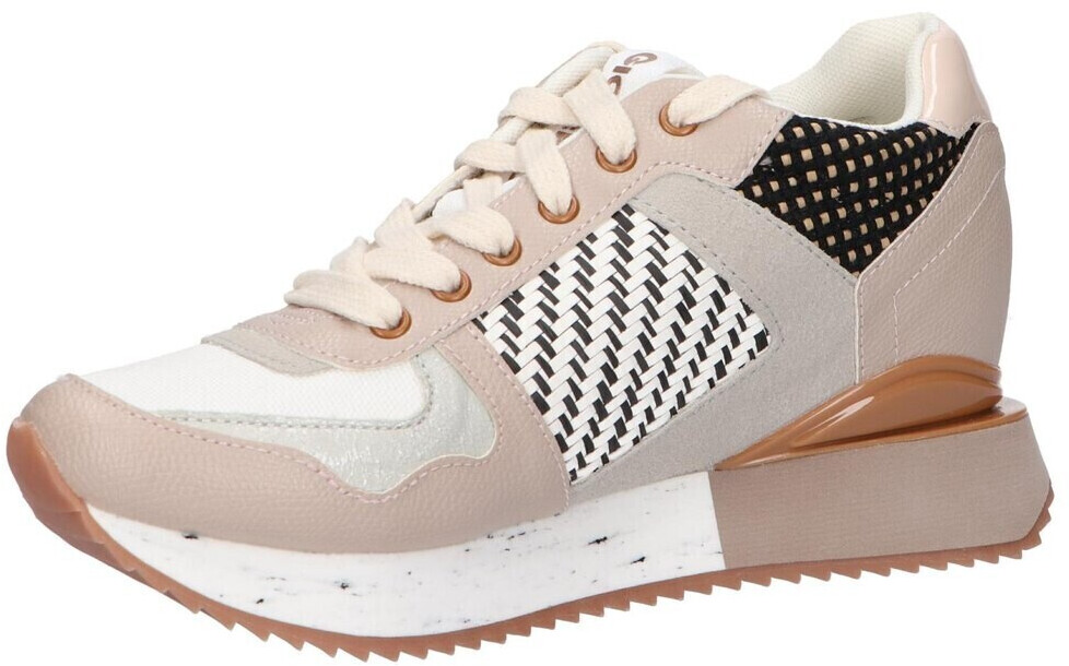 Gioseppo Larosa multicolor