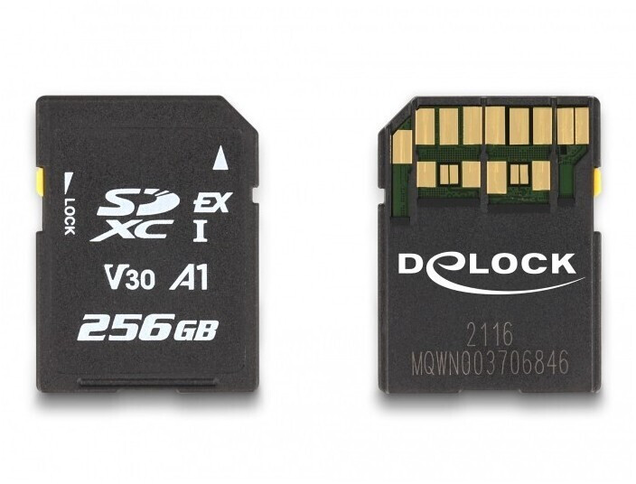 DeLock Express SDXC