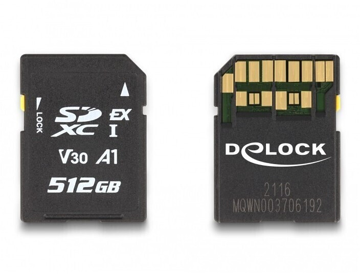 DeLock Express SDXC 512 Go
