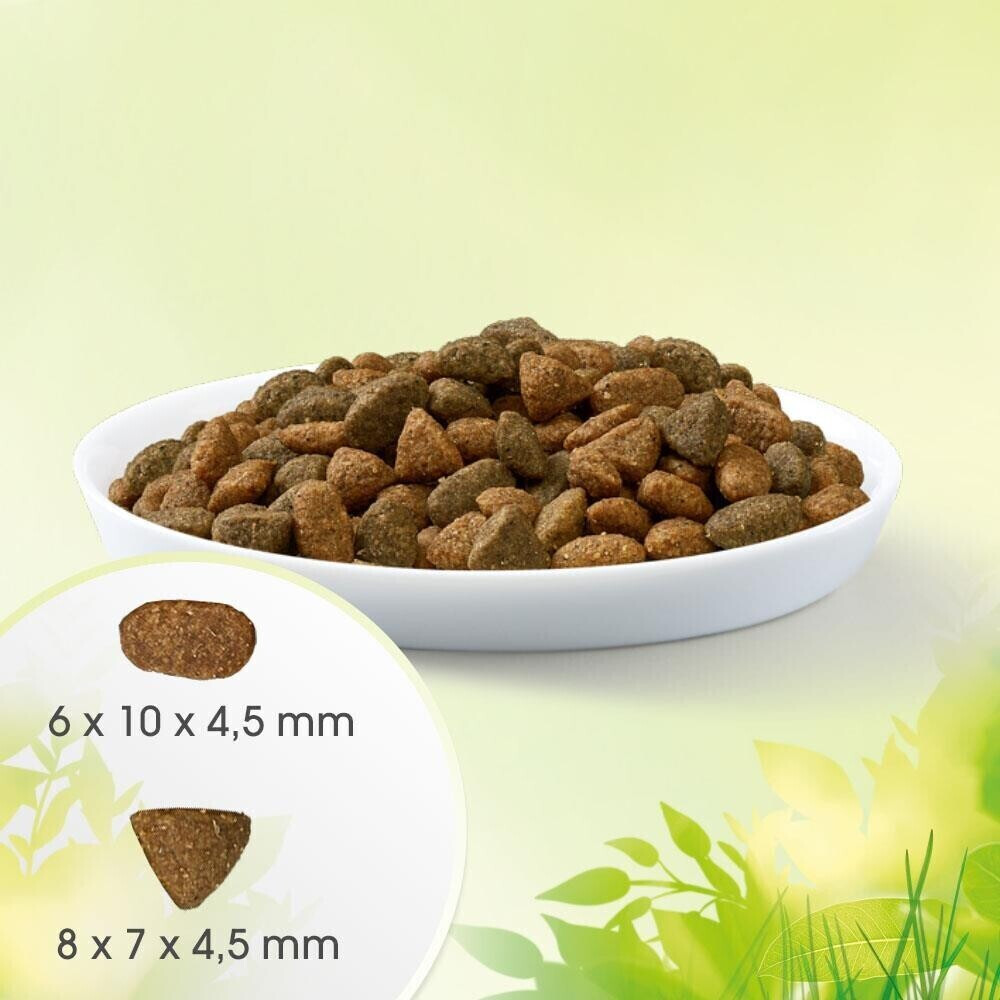 Perfect Fit Croquettes pour chat 6kg Perfect Fit Croquettes pour chat 6kg
