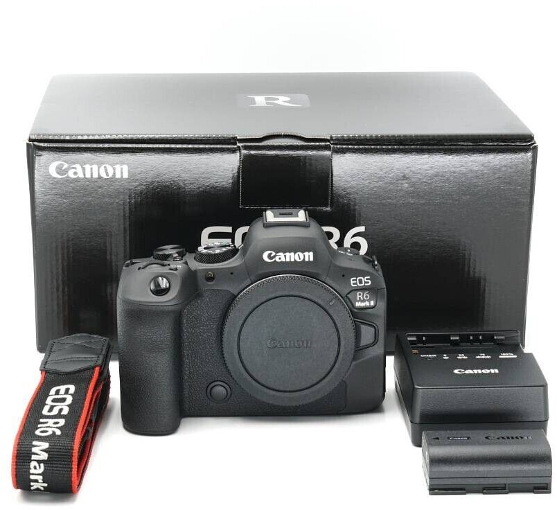 Canon EOS R6 Mark II desde 2.055,43 €, Febrero 2024