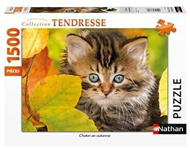 Nathan Chaton en automne (1500 pièces)