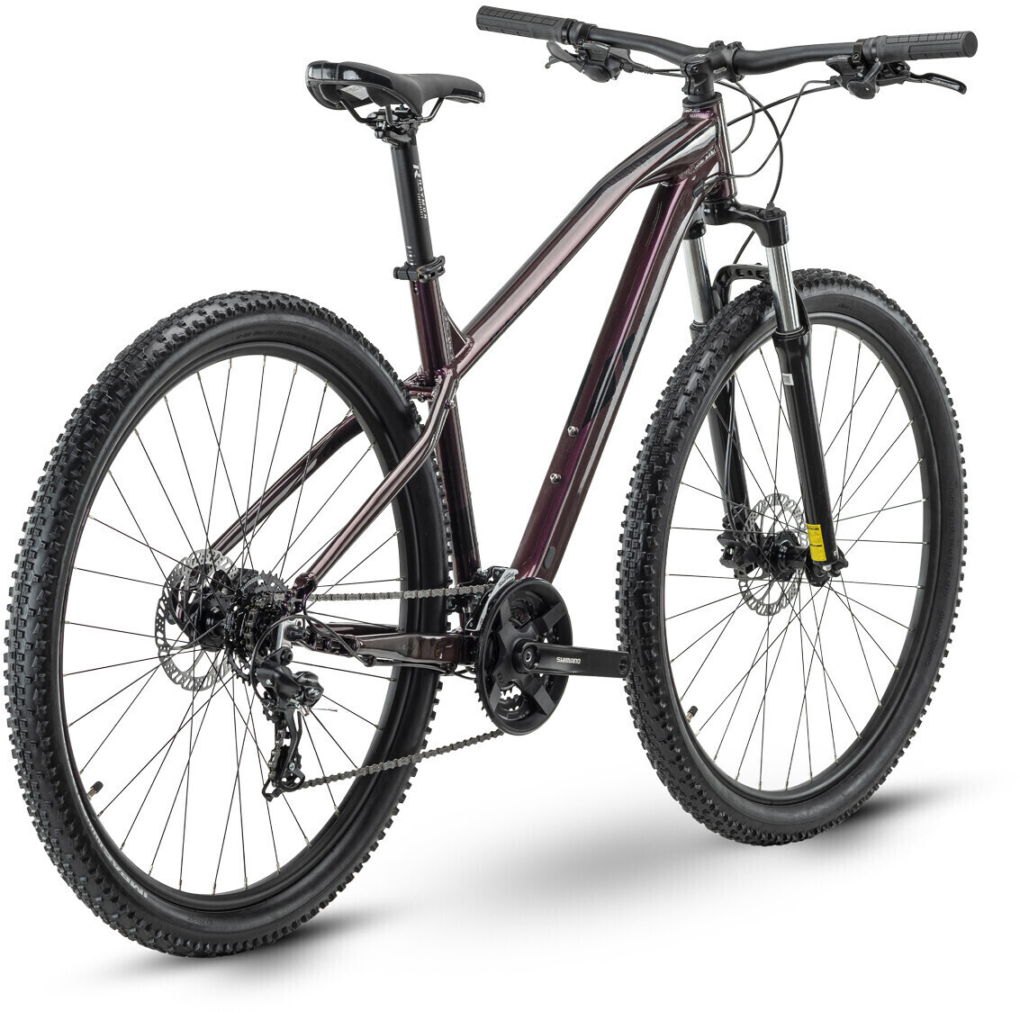 r raymon HardRay Nine 2.0 2021 ab 449 00 Preisvergleich bei idealo