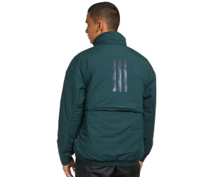 Adidas terrex hot sale jacket green