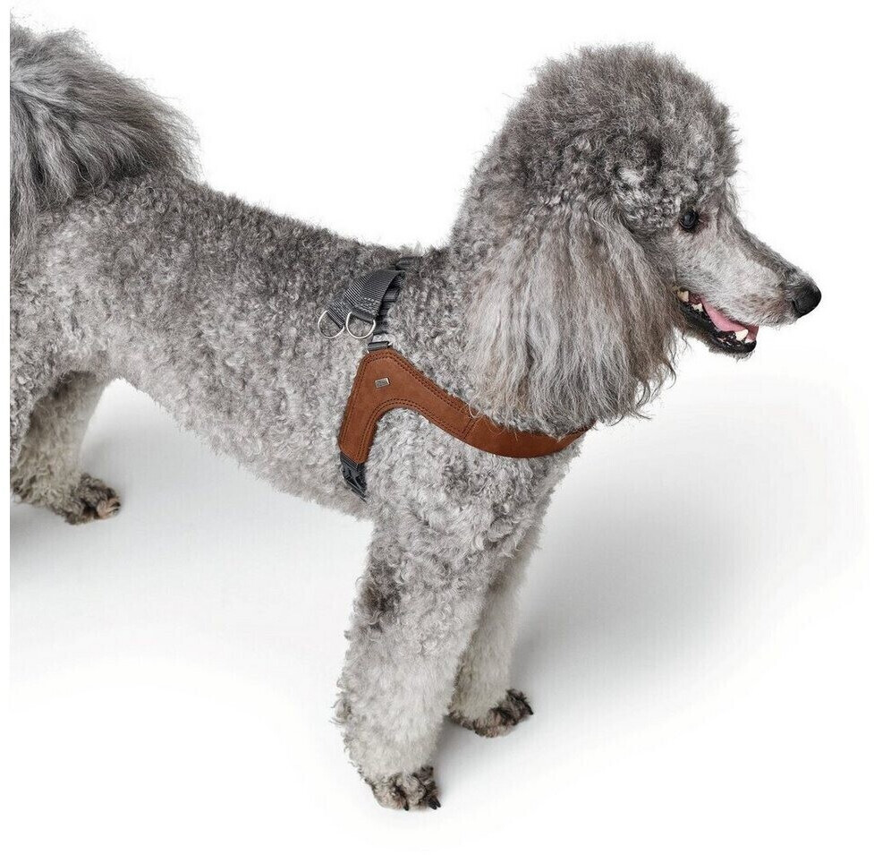 HUNTER Harnais pour chien XS-S cognac HUNTER Harnais pour chien XS-S cognac