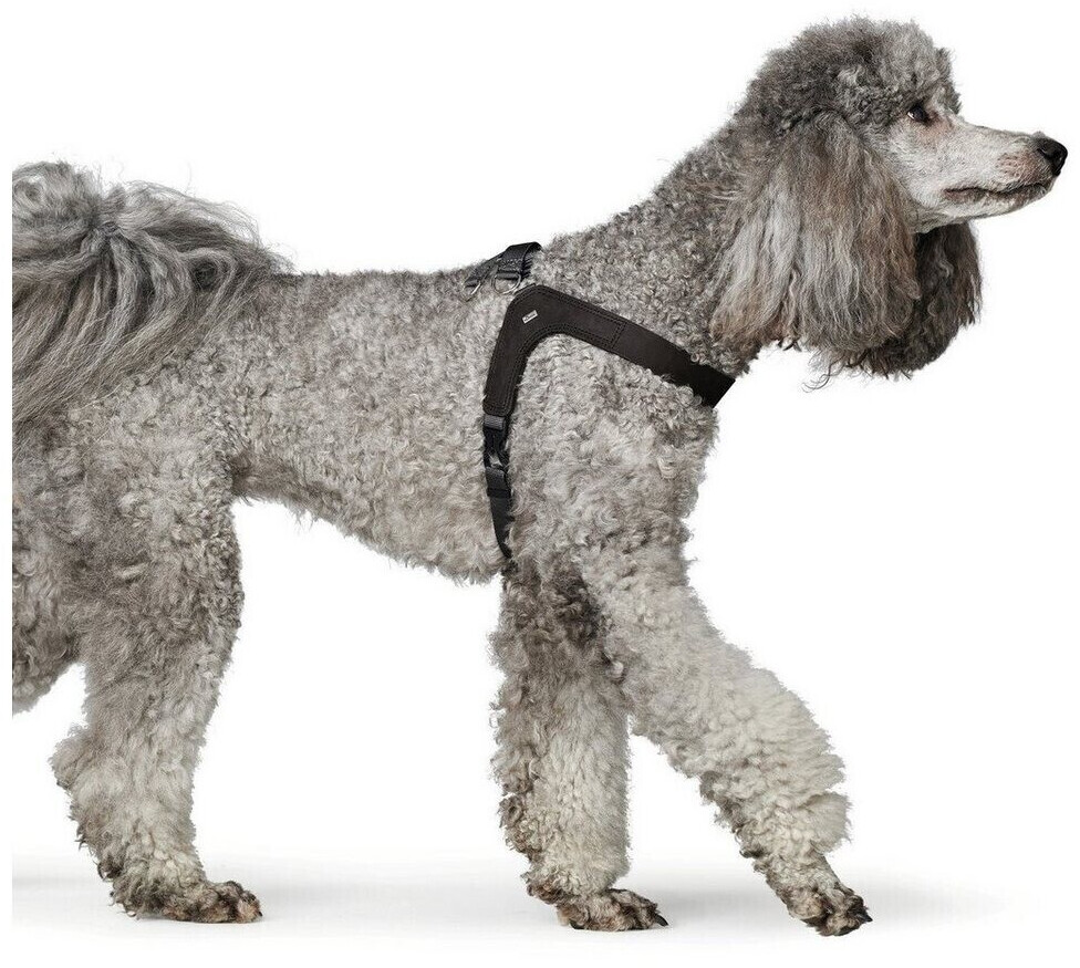 HUNTER Harnais pour chien XS-S black