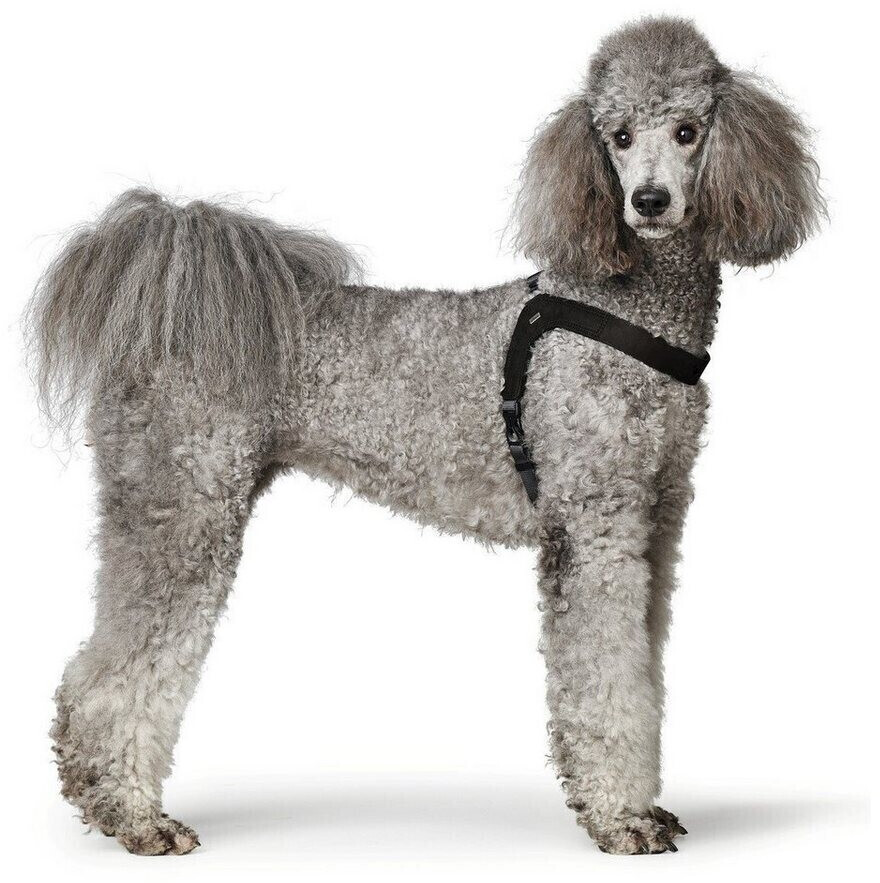 HUNTER Harnais pour chien XS-S black