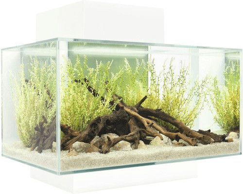 Fluval Edge I