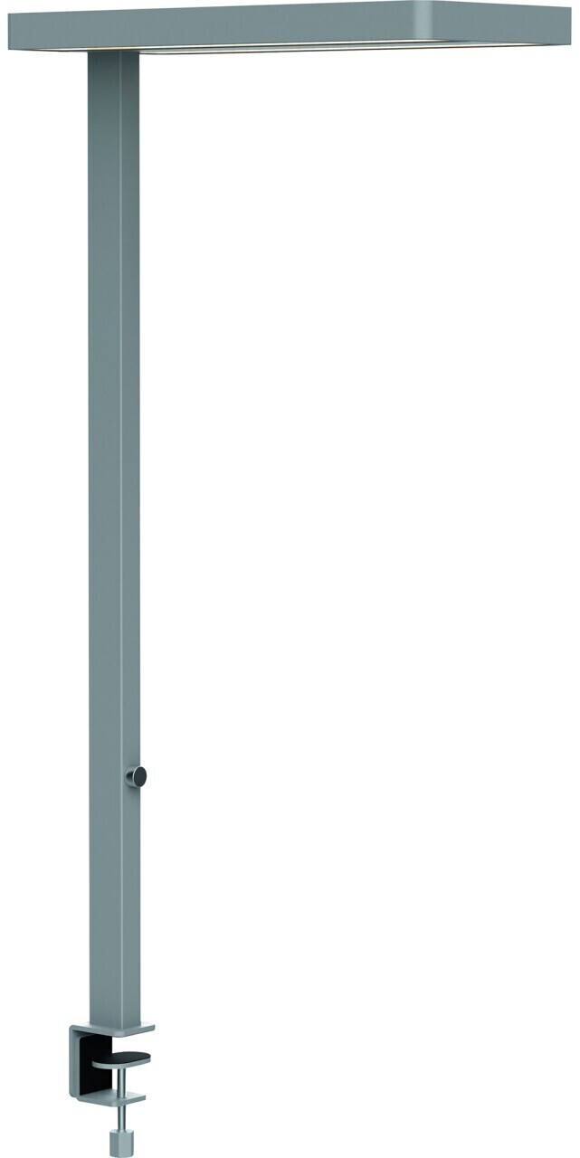 MAUL MAULjaval Desksilver (8258395)