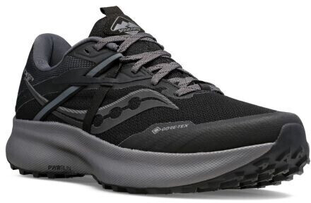 Saucony Ride 15 TR GTX black charcoal desde 94 88 Compara