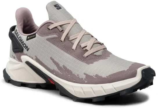 Salomon Alphacross 4 Gore Tex Women ab 90 00 Preisvergleich bei idealo