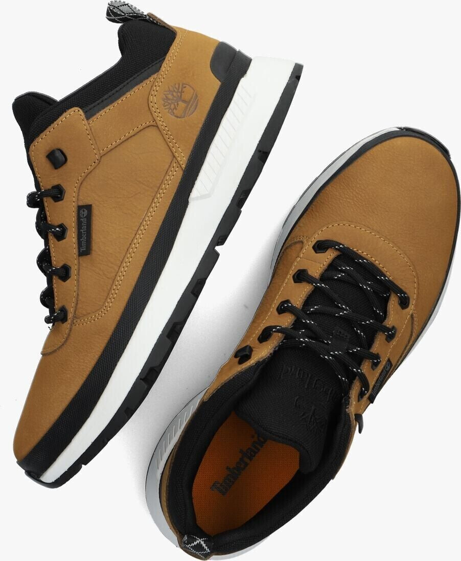 Buy Timberland Field Trekker Low camel from 65.99 Today Best