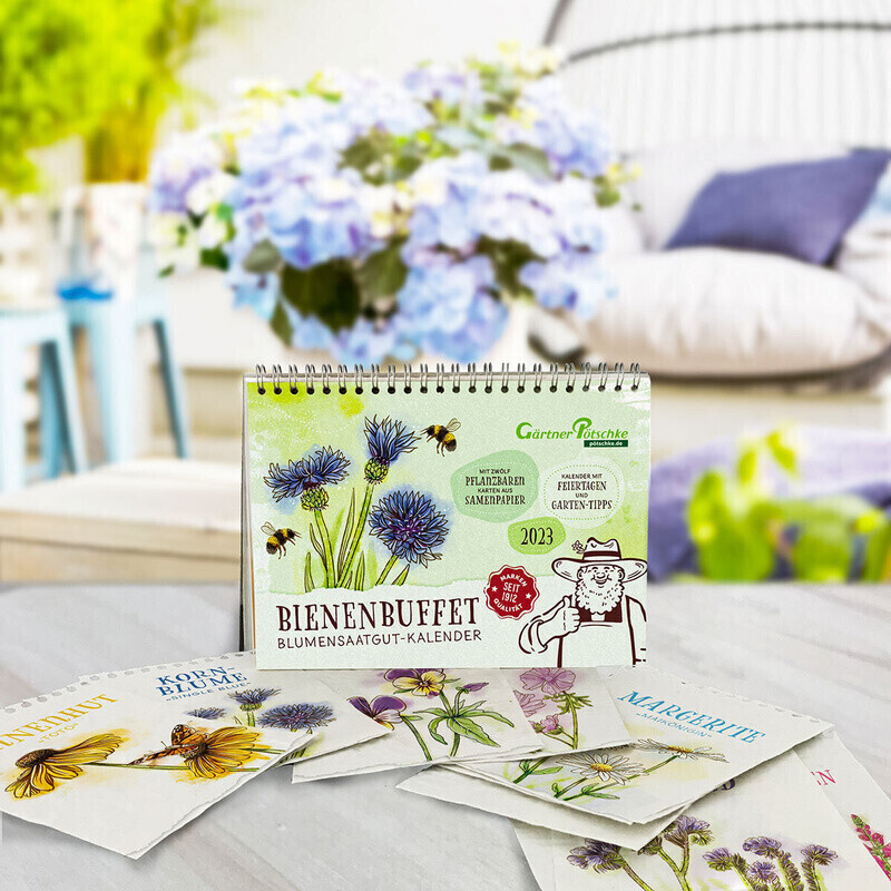 Gärtner Pötschke Bienenbuffet BlumensaatgutKalender 2023 ab 14,99