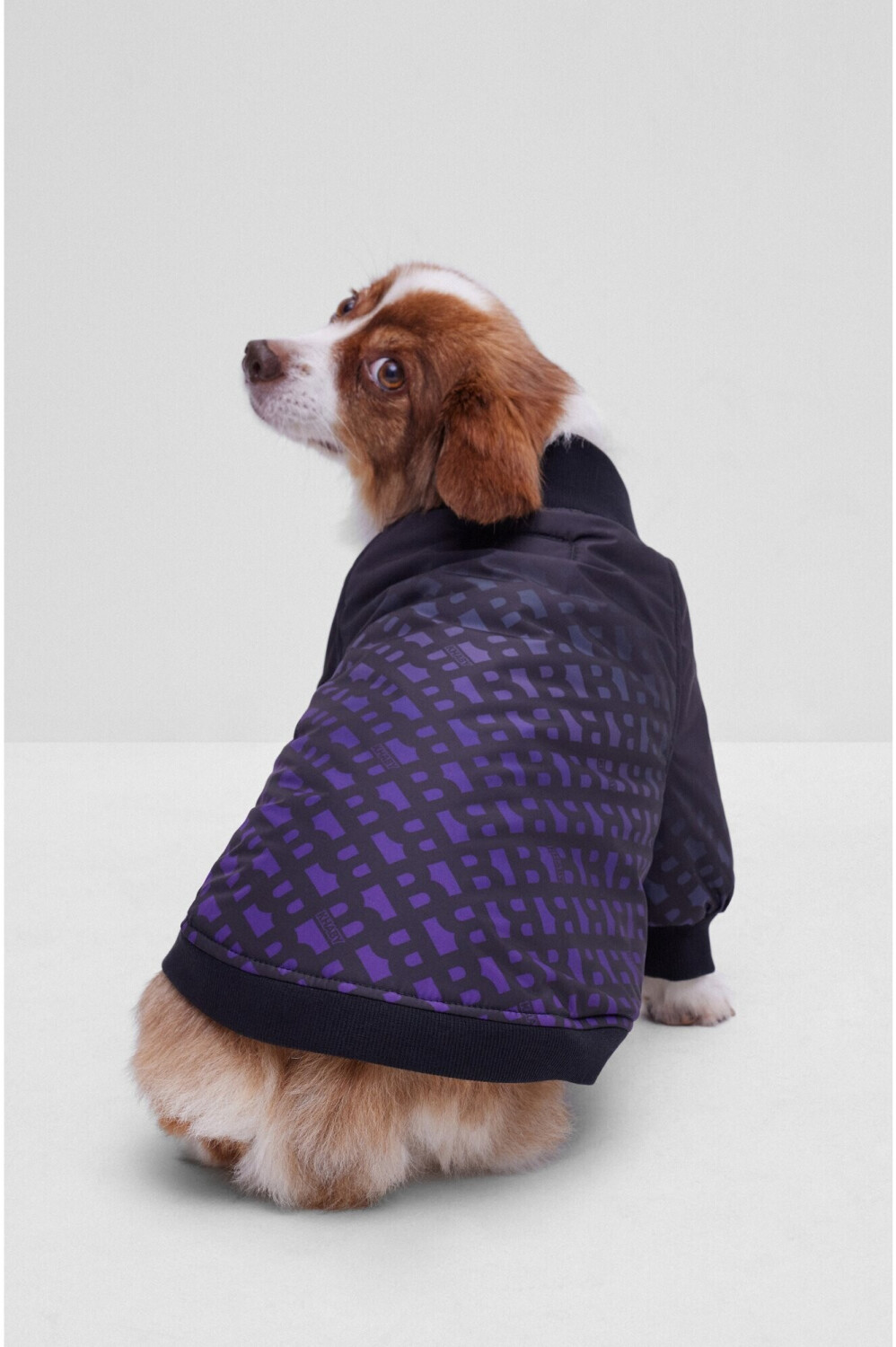 Hugo Boss Veste pour chien Hugo Boss Veste pour chien