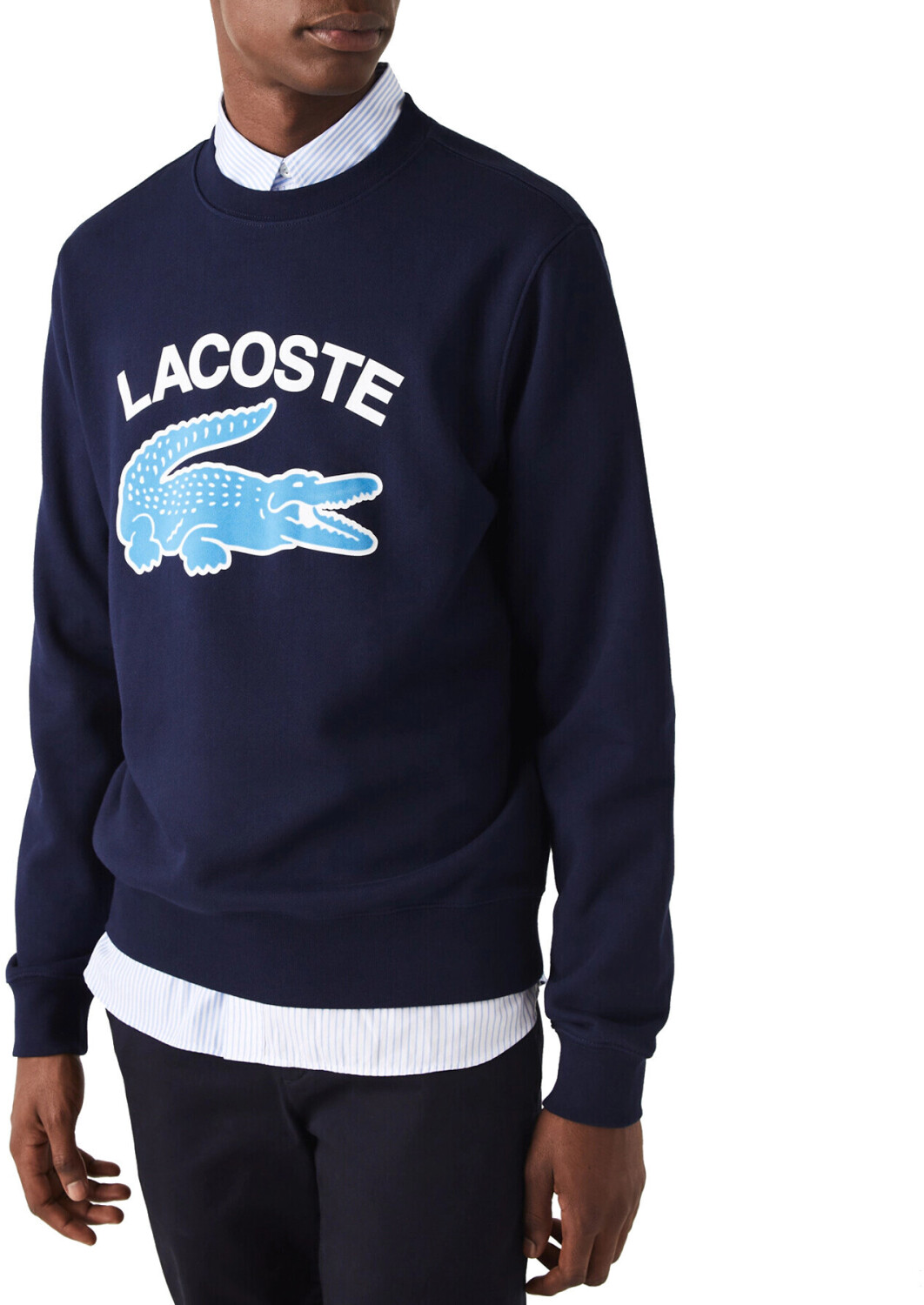 Lacoste sweater sales big logo