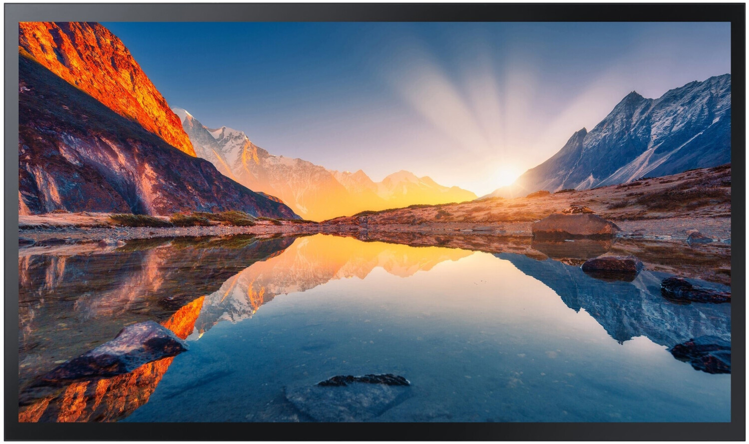 Samsung QM55B-T