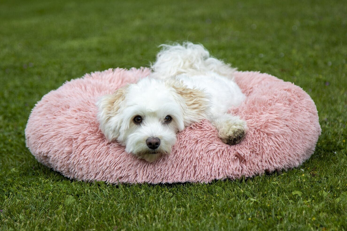 HKM Lit pour chien 60x25cm Light Rose