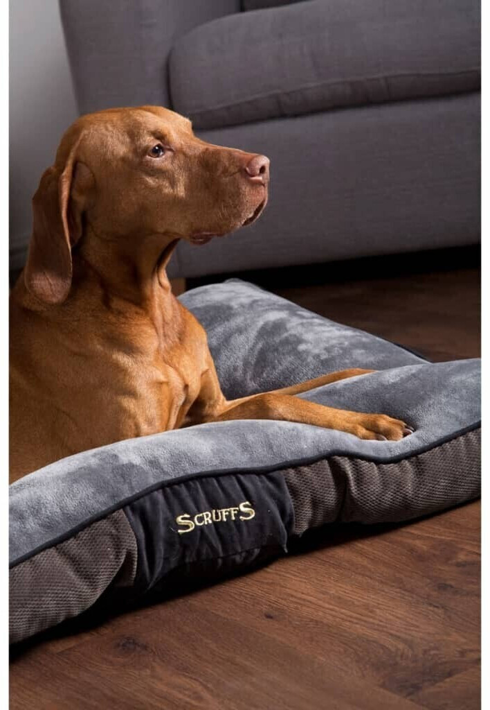 Scruffs for Pets Lit pour chien M Scruffs for Pets Lit pour chien M