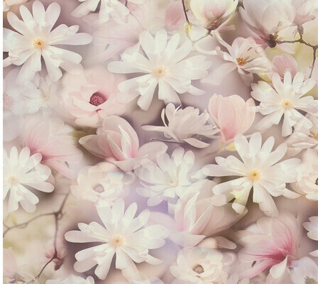 Pint 15,99 Walls Rosa bei Preisvergleich Blumen ab € | (38722-2) Livingwalls floral