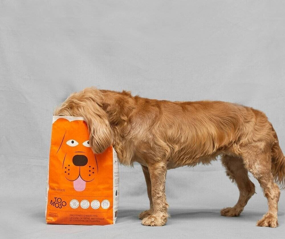 Tomojo Croquettes pour chien Tomojo Croquettes pour chien