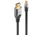Lindy 36312 DisplayPort Cable 2mt gold