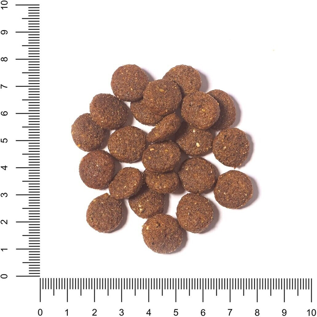 The Hunger of the Wolf Croquettes pour chien The Hunger of the Wolf Croquettes pour chien
