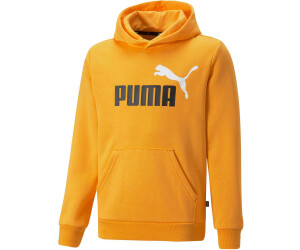 Essentials+ € Hoodie Preisvergleich 21,58 Big Puma | Youth ab Two-Tone bei Logo (586987)