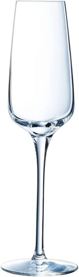 Pure Champagne Glass 21 cl, 2-pack - Zwiesel @ RoyalDesign