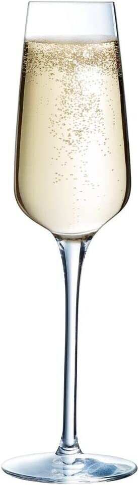 Sublym Champagne Glass 21 cl, 6-pack - Chef&Sommelier @ RoyalDesign