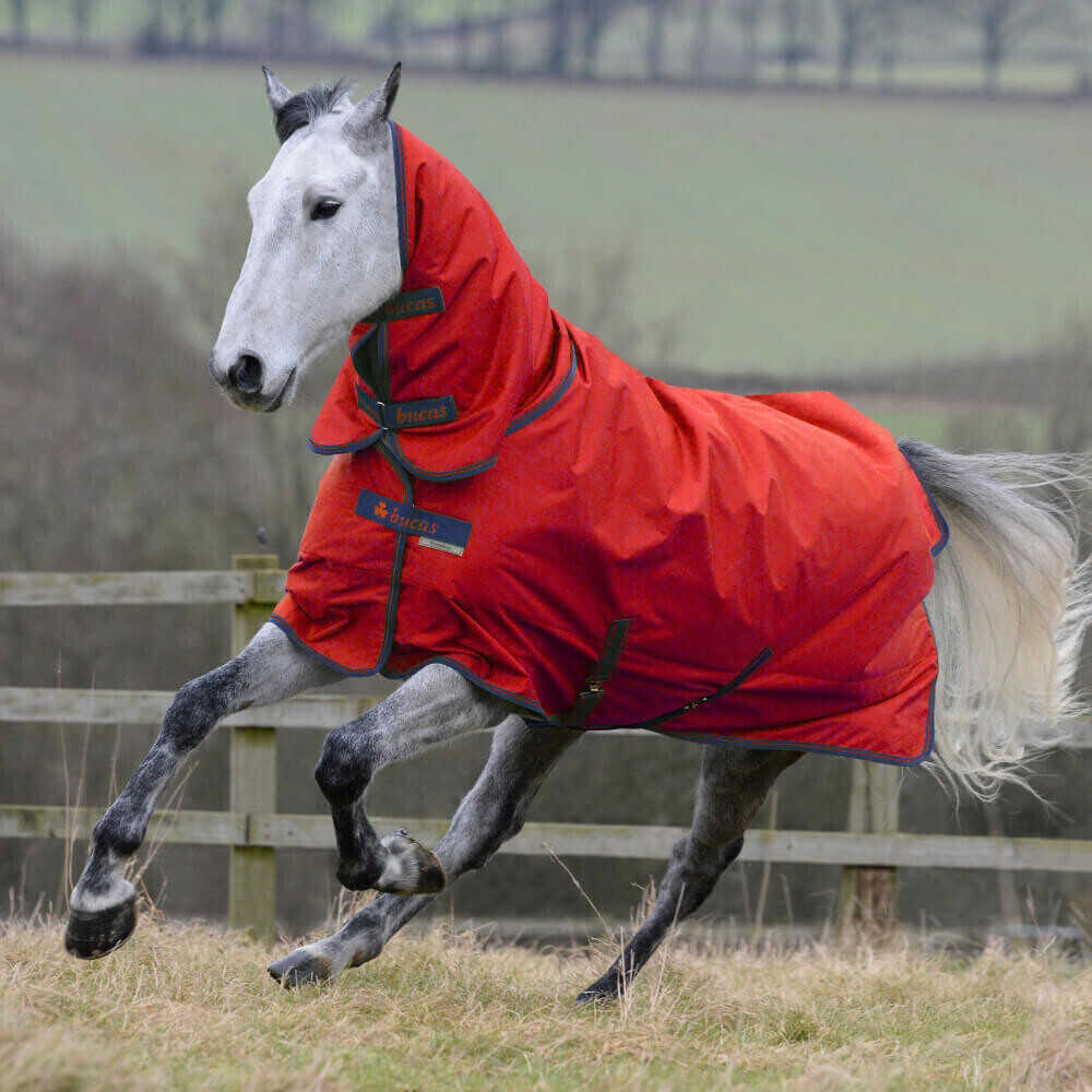 Bucas Freedom Turnout Pferdedecke 125cm 150g - Navy/Silber