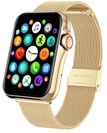 Smarty 2.0 SW028E04 acier or