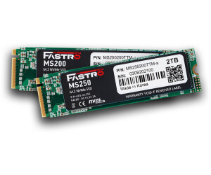 Mega Fastro MS250 2TB