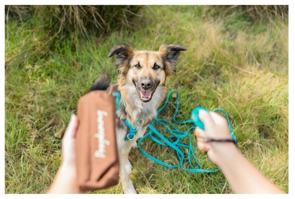 Trixie Longe pour chien Tracking Leash 5m 17mm Ocean Trixie Longe pour chien Tracking Leash 5m 17mm Ocean