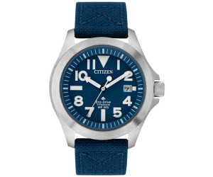 Citizen Promaster BN0118 12L from 349.00 Today Best Black Friday Deals on idealo