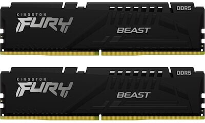 Kingston FURY Beast 16GB Kit DDR5-5600 CL36 (KF556C36BBEK2-16) ab 51,89 € |  Preisvergleich bei idealo.de