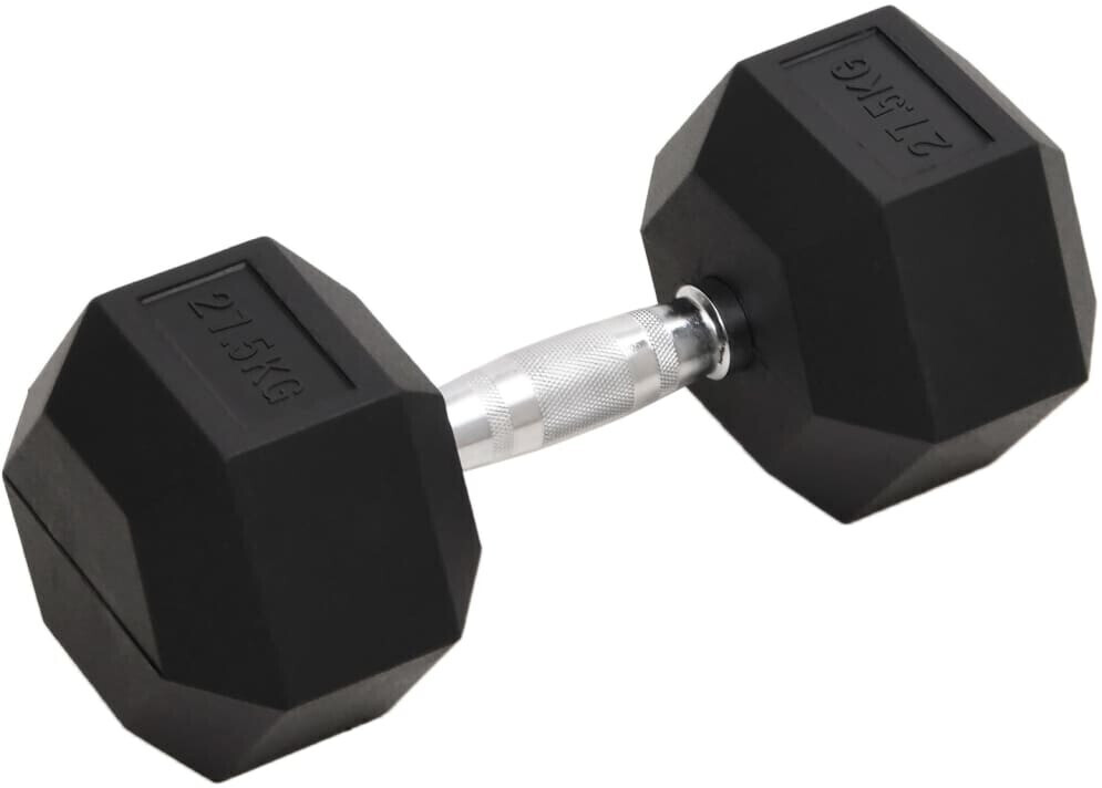 vidaXL Cast Iron Dumbbell 27,5 kg