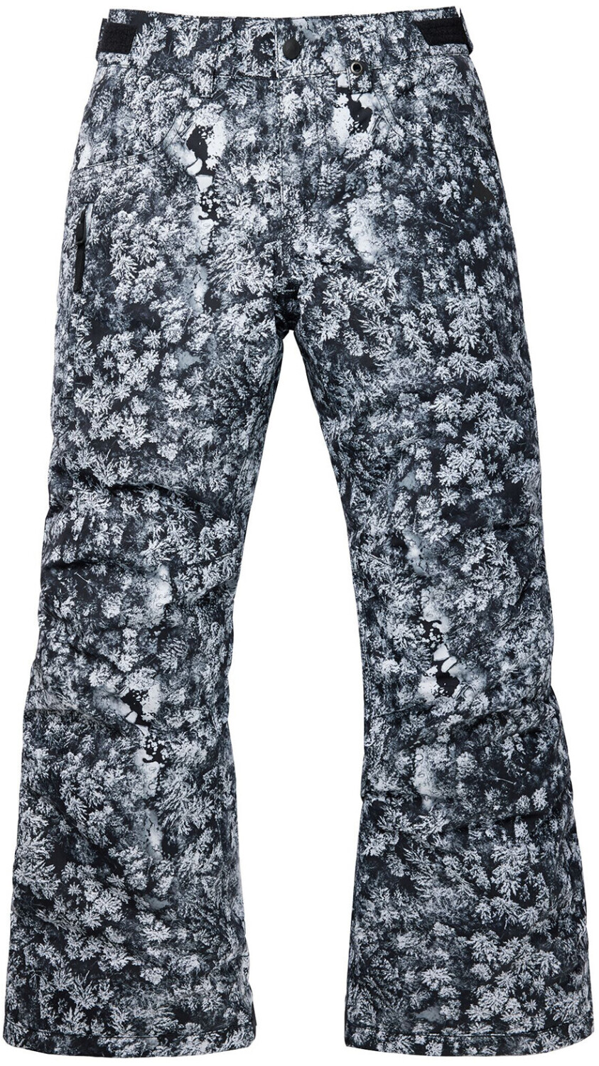 Burton Boys Barnstorm Pants aerial pines