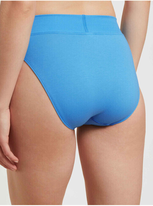 Women's Calida 22030 Elastic Hi Cut Brief Panties (Blue Paisley