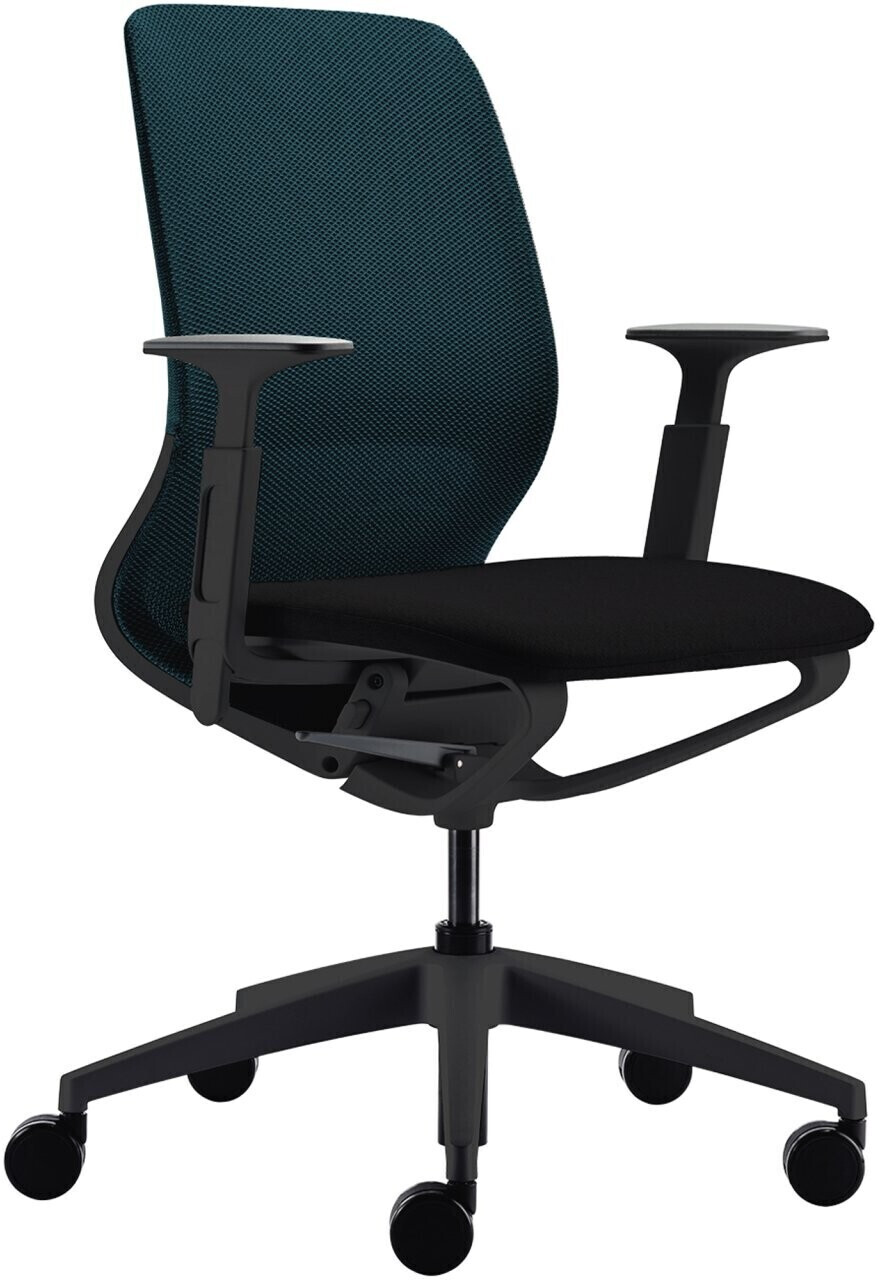 Sedus se:motion net with Armrests em-821