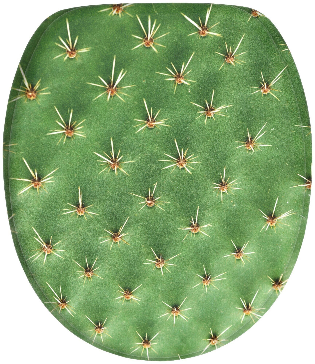 Sanilo Cactus
