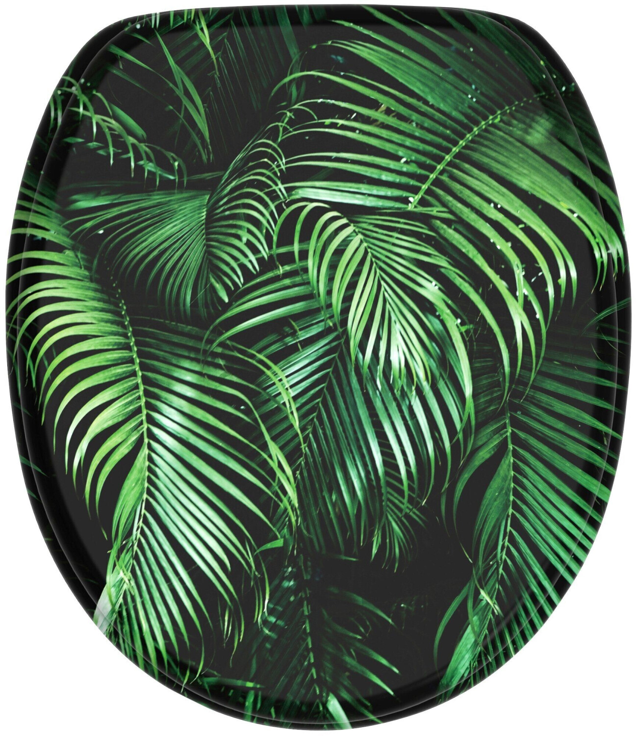 Sanilo Palm Dream