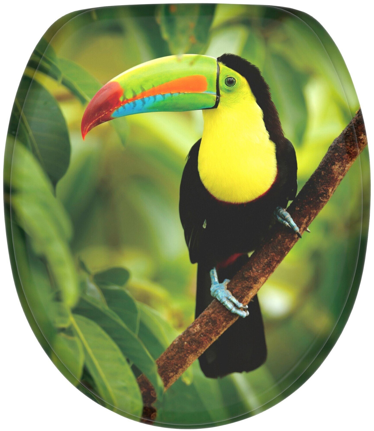 Sanilo Toucan
