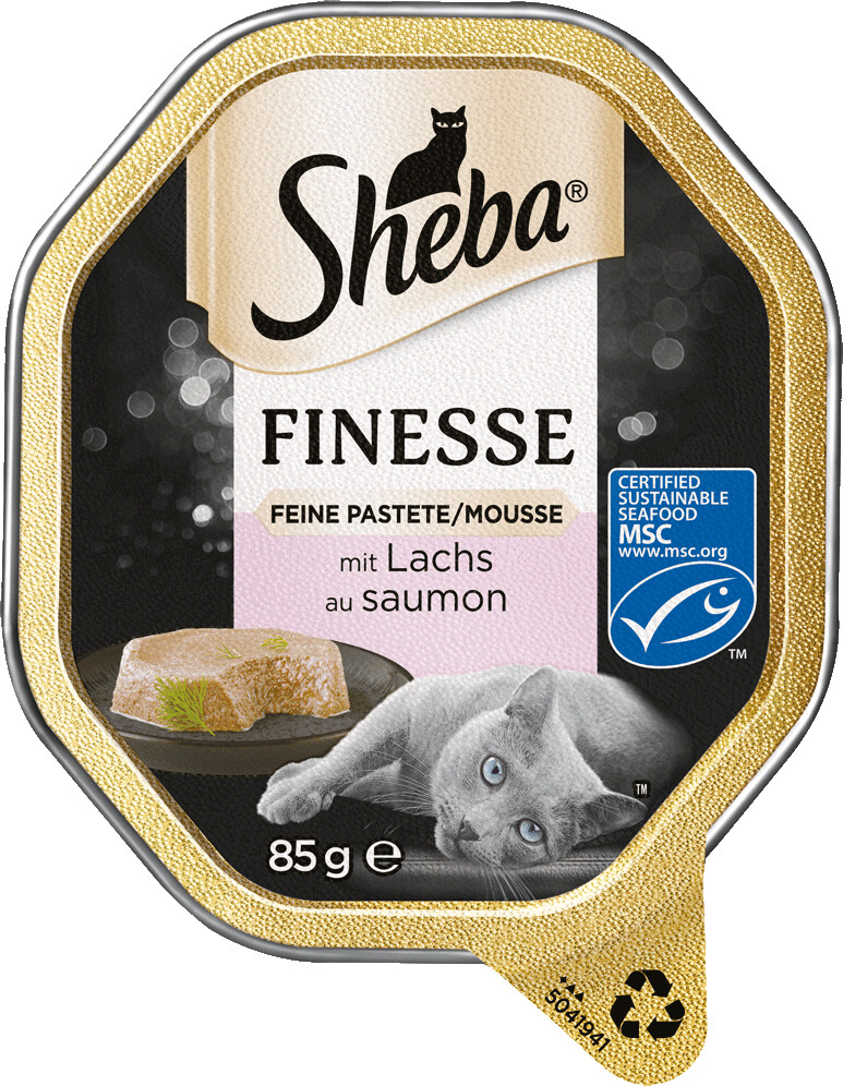 Sheba Finesse feine Pastete Mousse mit Lachs MSC Schale 85g ab 0 79 Preisvergleich bei idealo