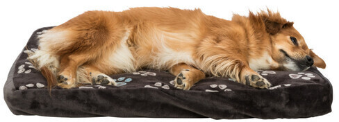 Trixie Coussin pour chien Trixie Coussin pour chien
